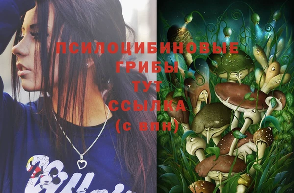 гидропоника Абинск