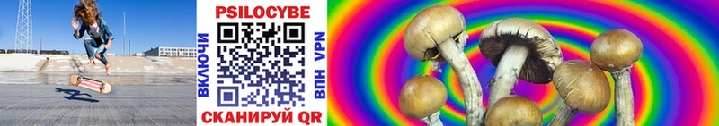 где найти наркотики  Кандалакша  Псилоцибиновые грибы мухоморы 